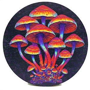 Podkładka pod kubek z nadrukiem - grzybek 3