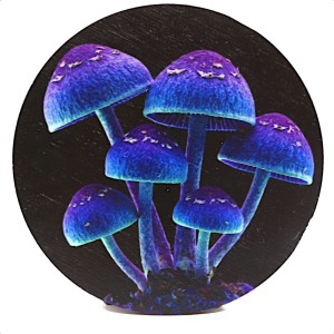 Podkładka pod kubek z nadrukiem - grzybek 5